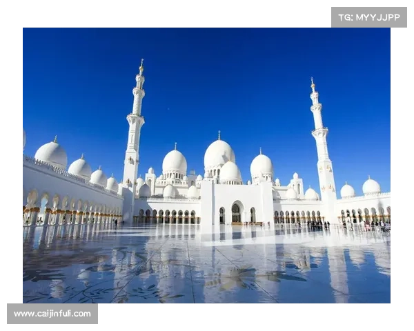 迪拜国民2比1战胜阿布扎比半岛 卫冕冠军暂时领跑积分榜 迪拜国民2比1战胜阿布扎比半岛 卫冕冠军暂时领跑积分榜